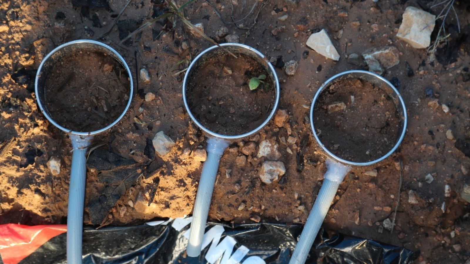 Algunos elementos utilizados par ala investigación.