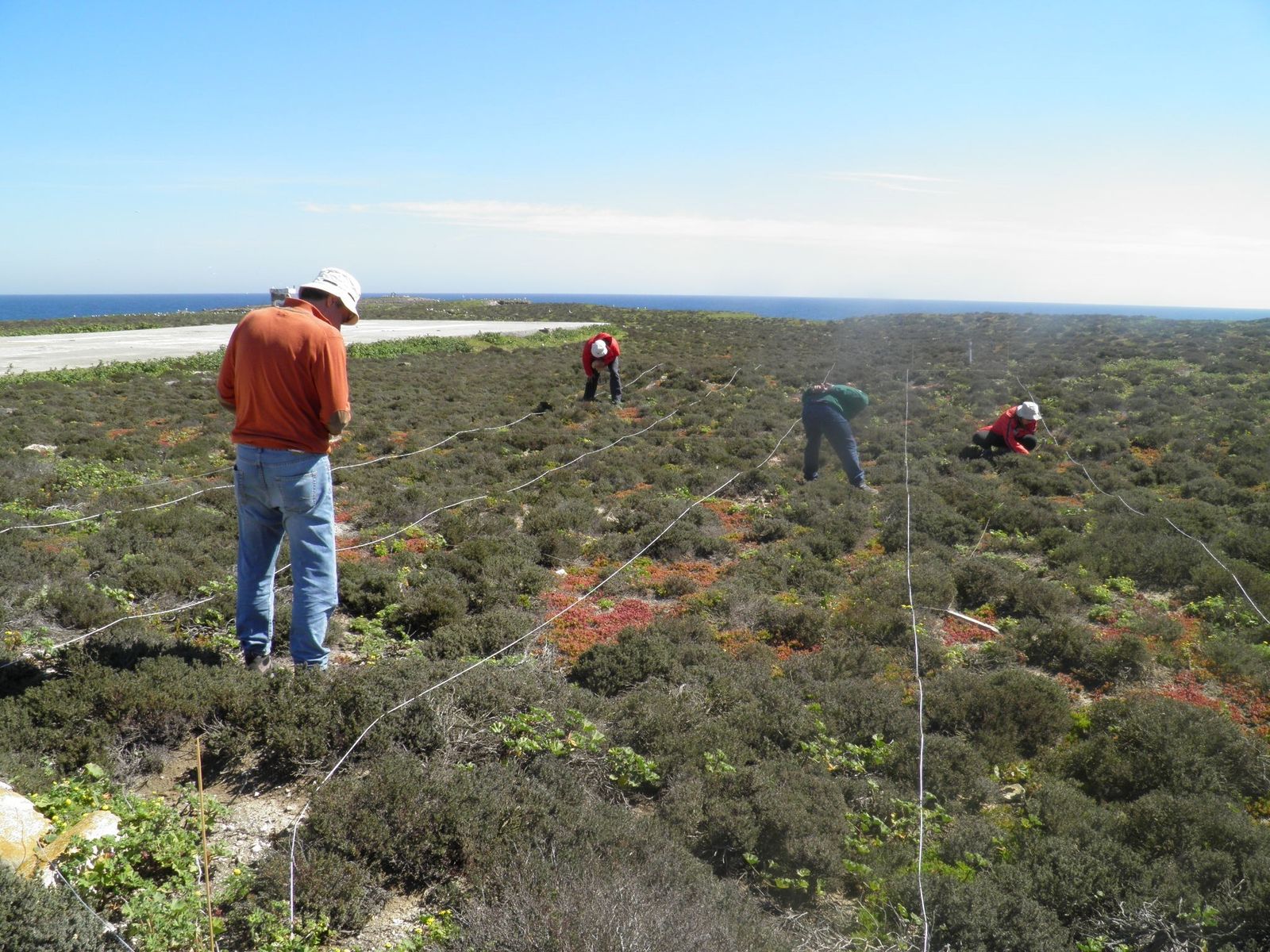 Técnicos durante los trabajos en la Isla de Alborán.