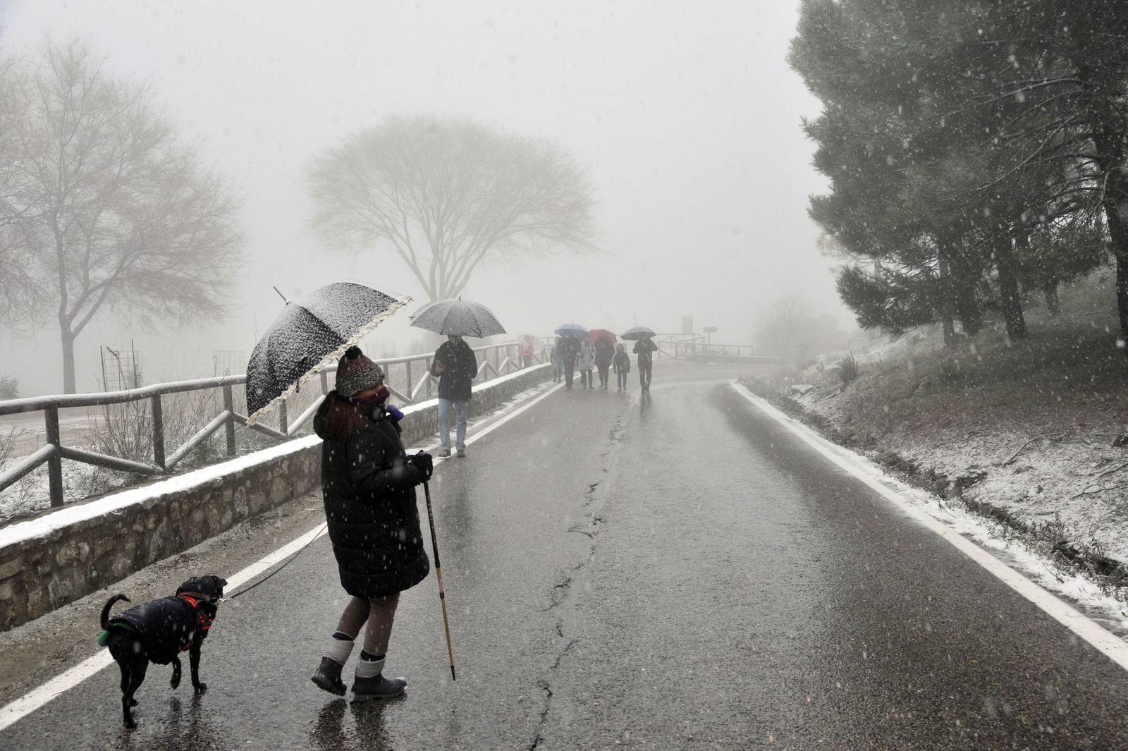 Nieve en la Sierra de Cádiz