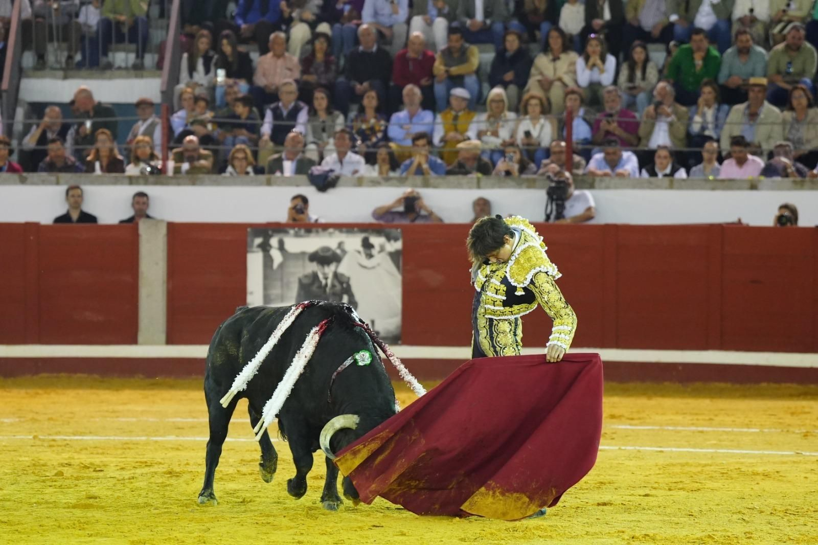 La corrida triunfal de Castella, Manzanares y Roca Rey en Pozoblanco, en imágenes