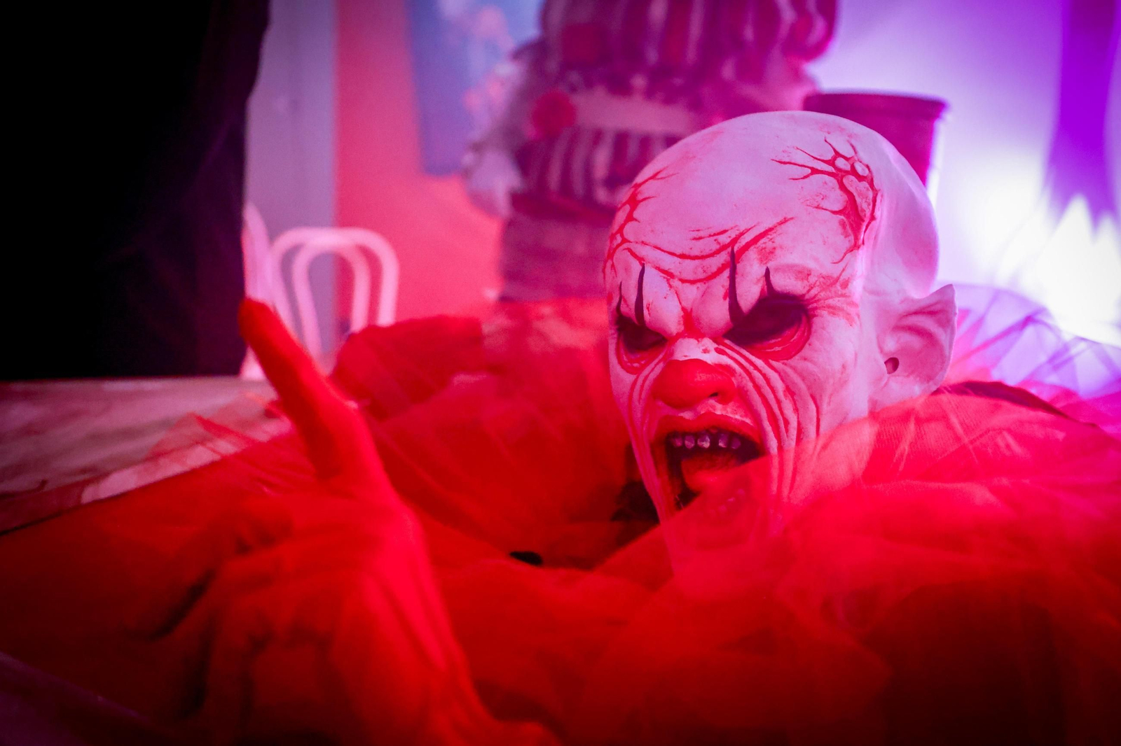 Fotogalería: Halloween empieza a dar miedo en Cádiz