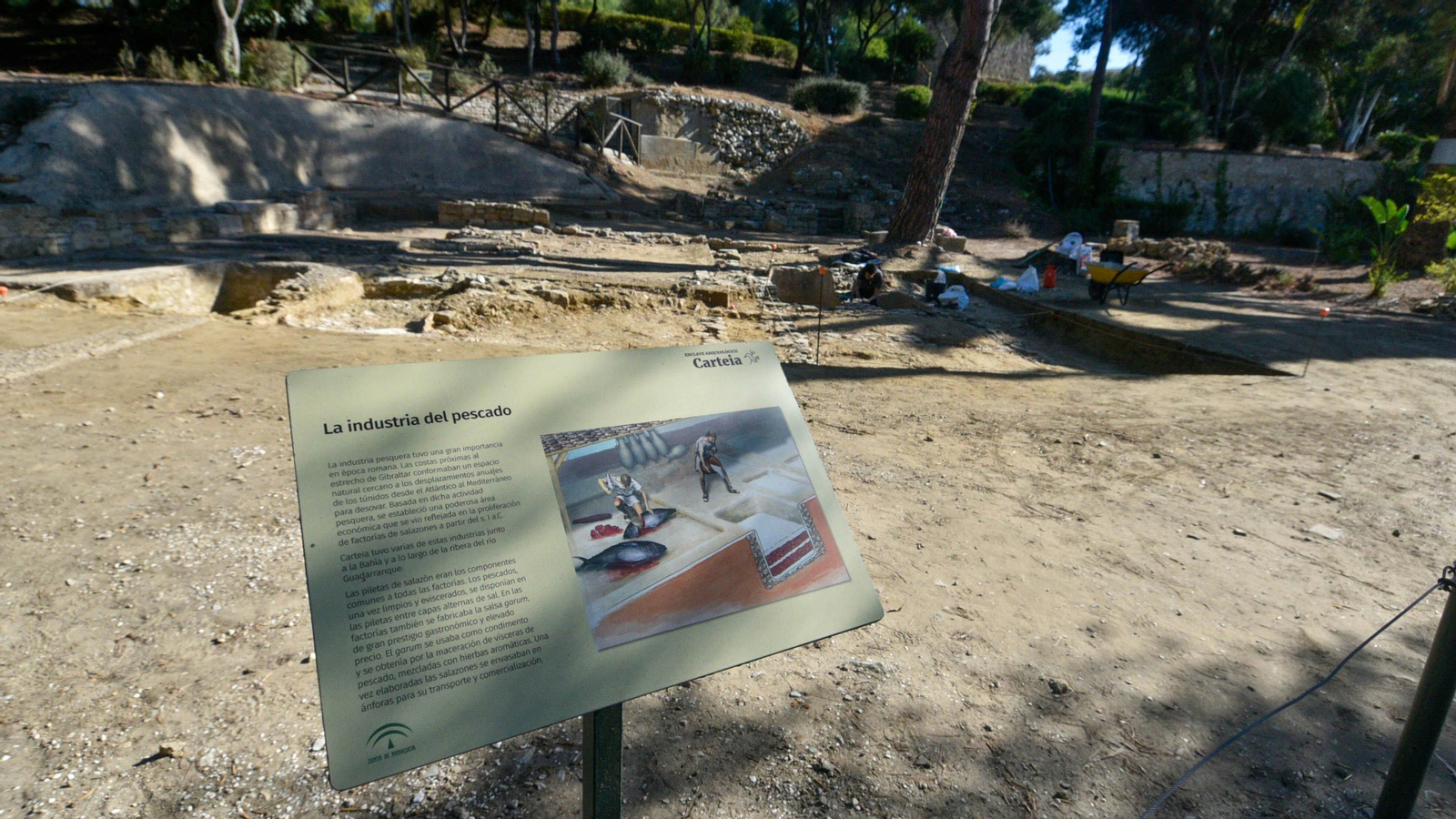 La fabrica de salazón en el yacimiento arqueológico de Carteia