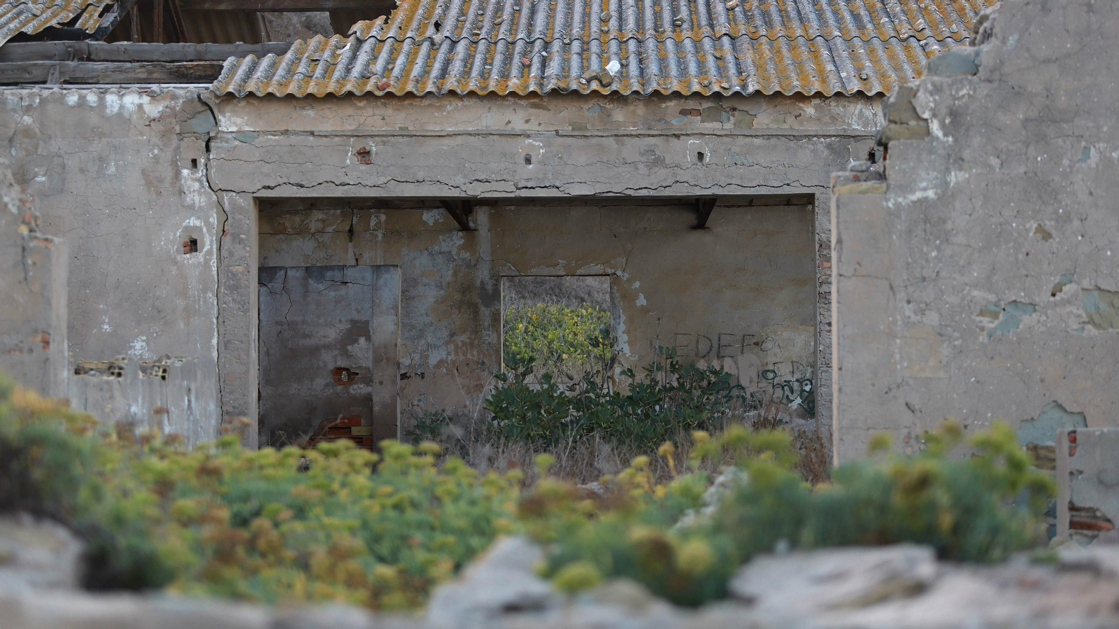 Las mejores fotos de La Ballenera en Algeciras