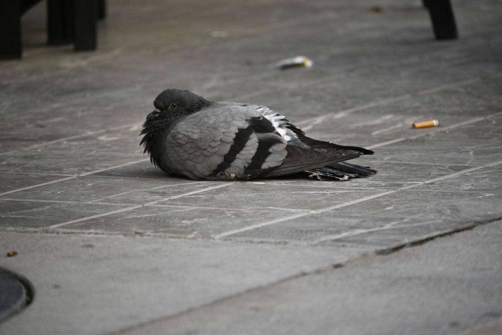Imágenes del viernes 10 de marzo en Huelva