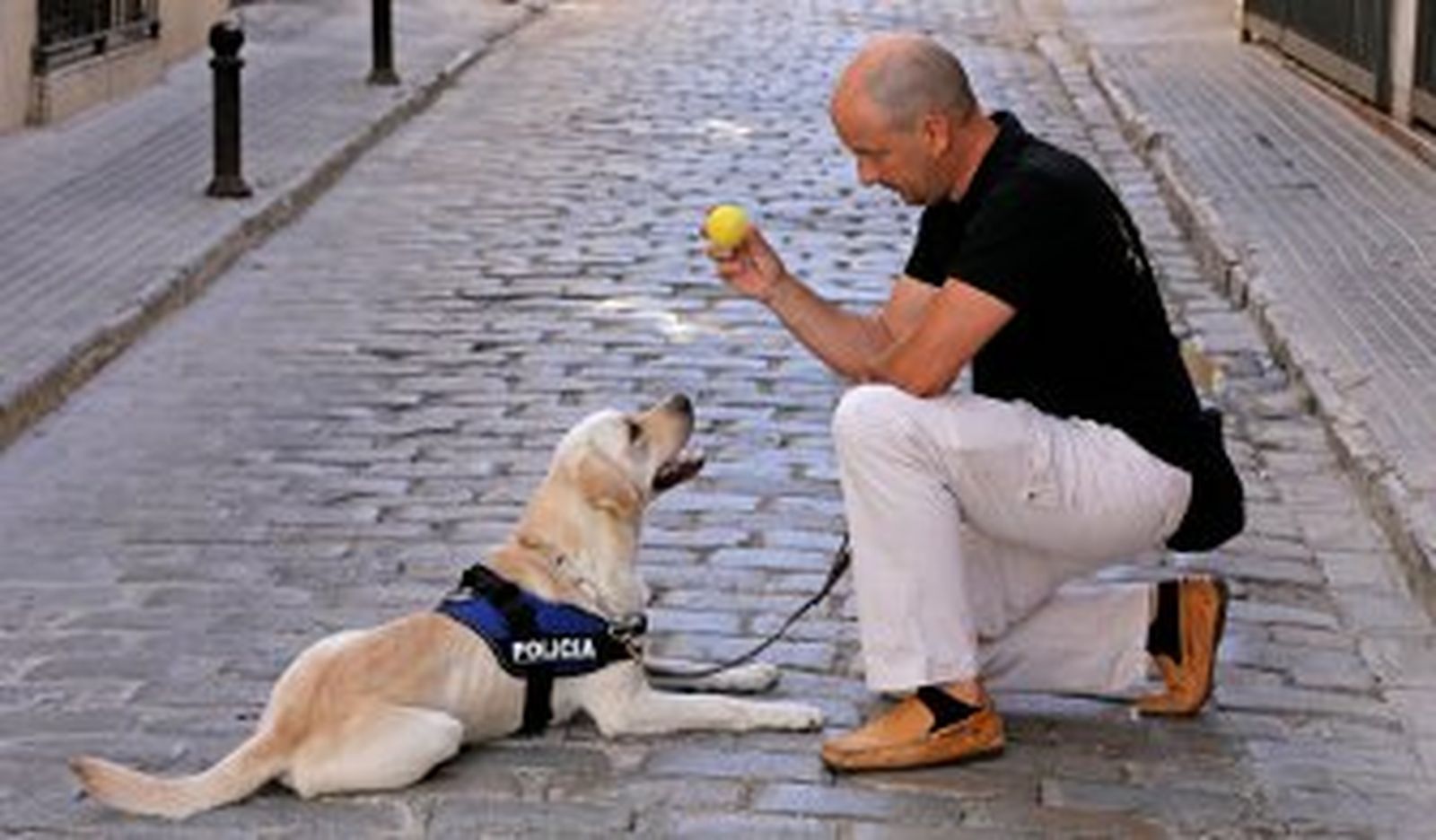 Policías locales impulsan la creación de una Unidad Canina