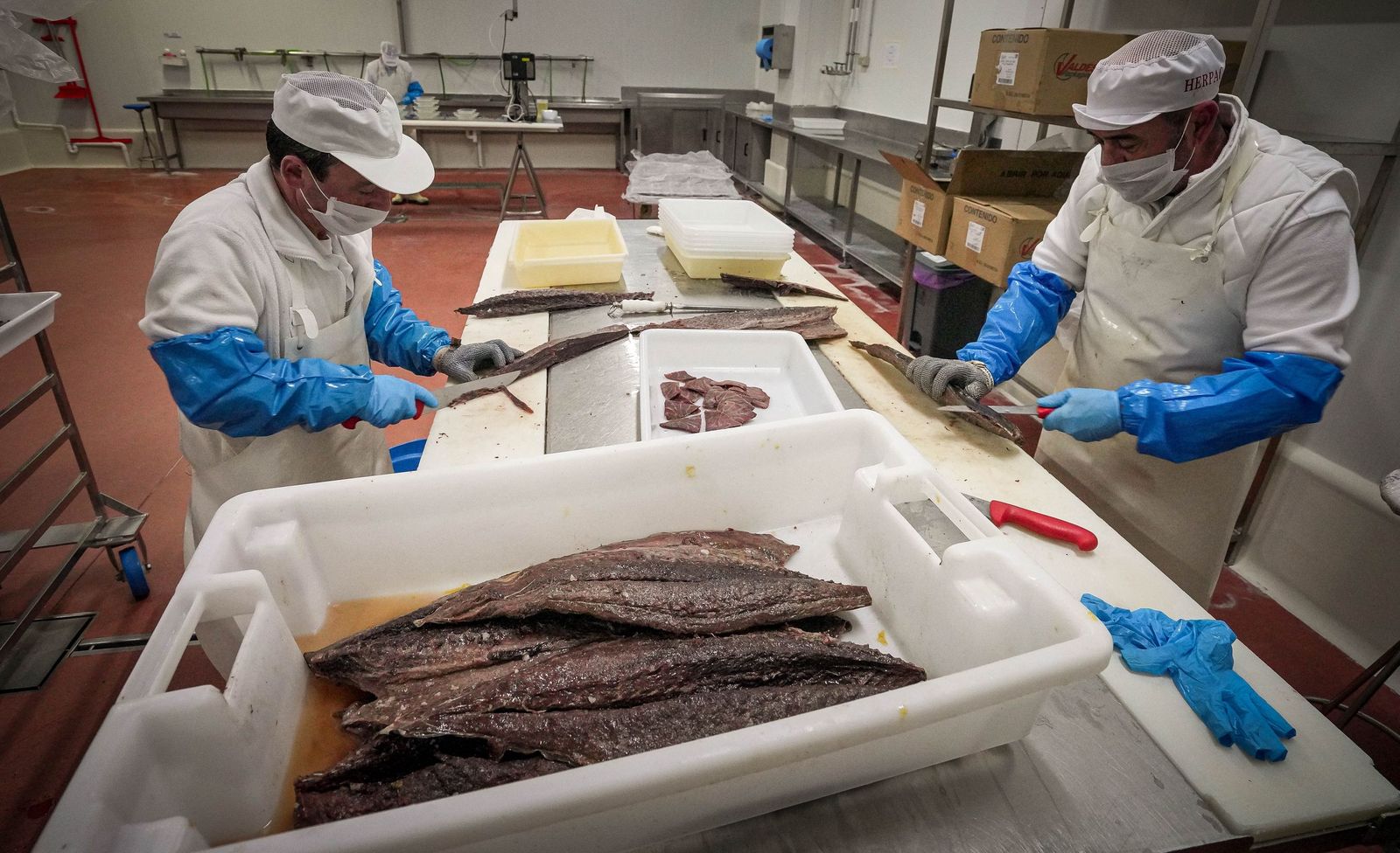 Imágenes de una tradición viva: Herpac por dentro