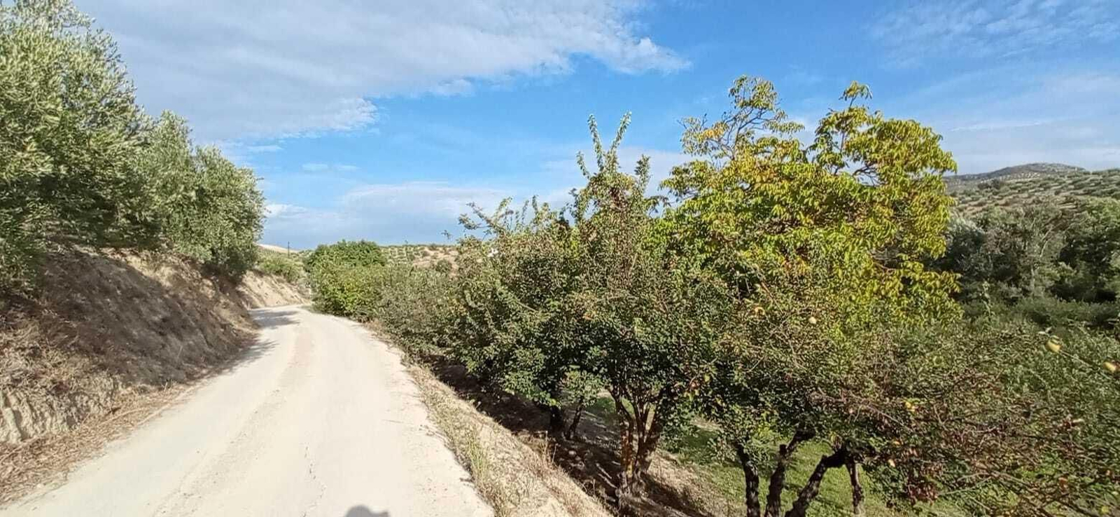Las imágenes de la Ruta Zagrilla Baja - Esparragal - Zagrilla Baja