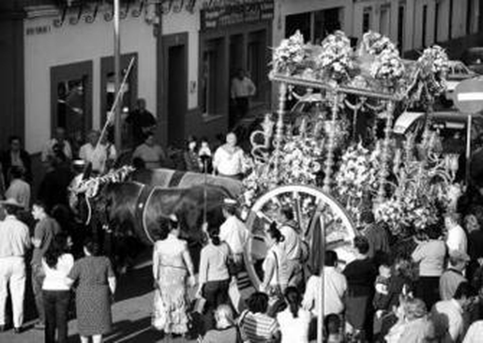 Cinco hermandades sevillanas ya están camino de la aldea del Rocío