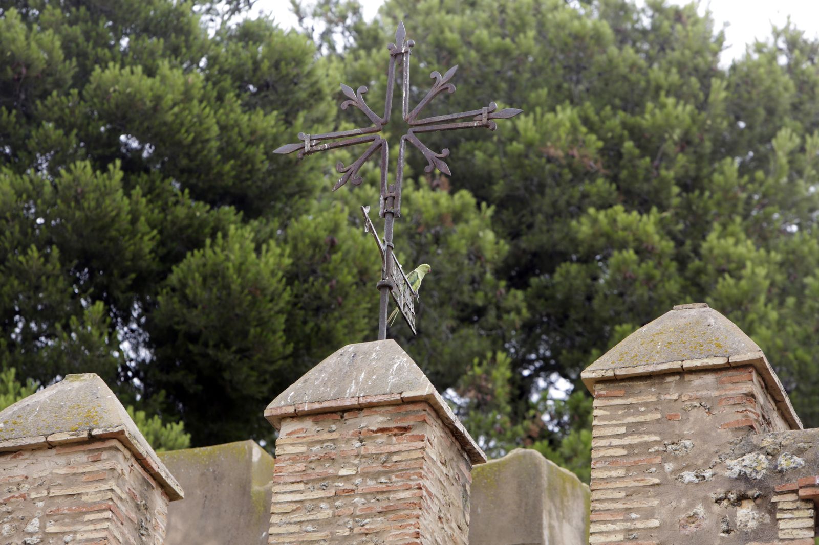 Castillo de Bonsor. Mairena del Alcor