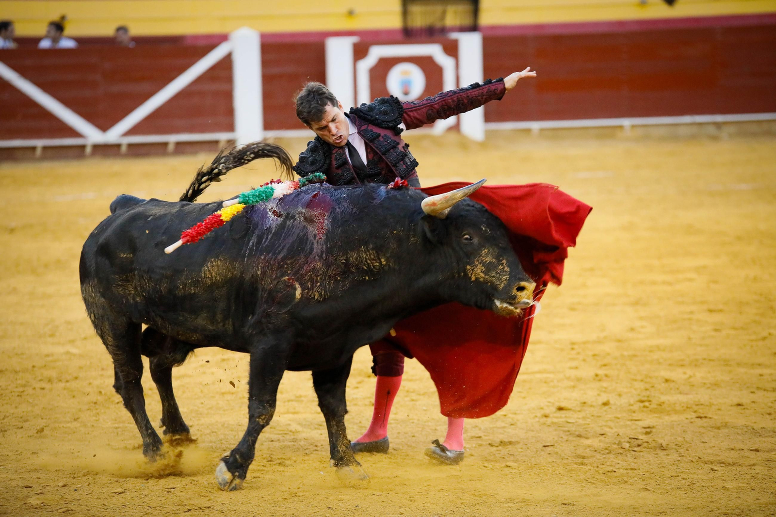 Imágenes de la corrida de toros en Roquetas de Mar