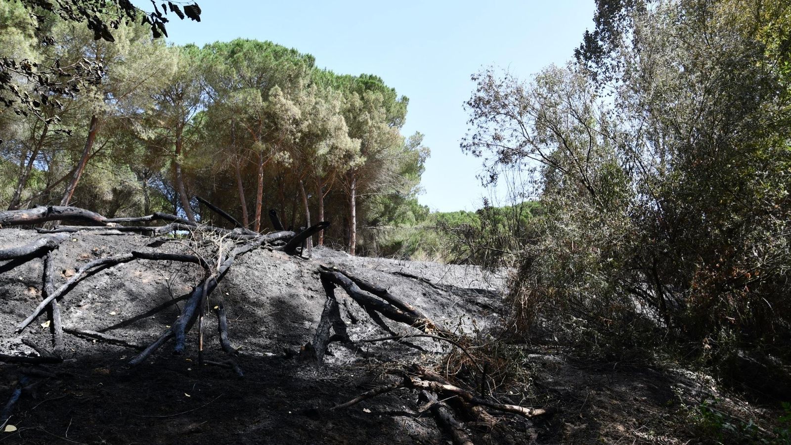 Estado de la zona Fuente de la Alhaja tras el incendio