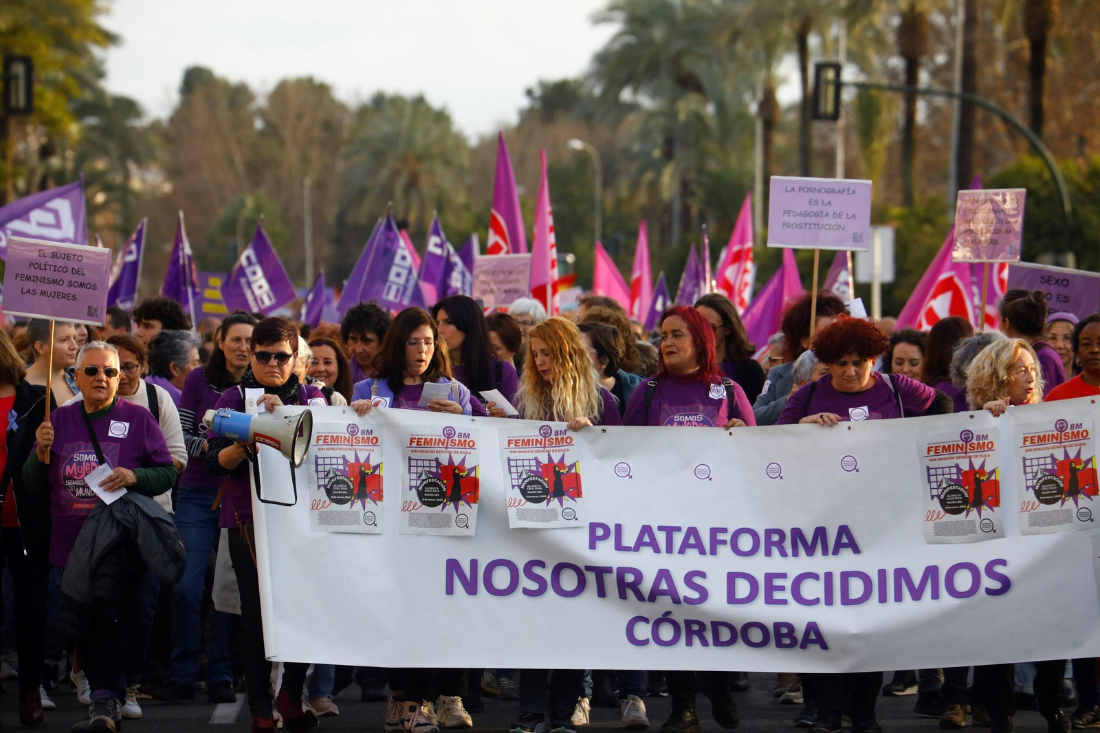 La manifestación del 8M en Córdoba, en imagenes