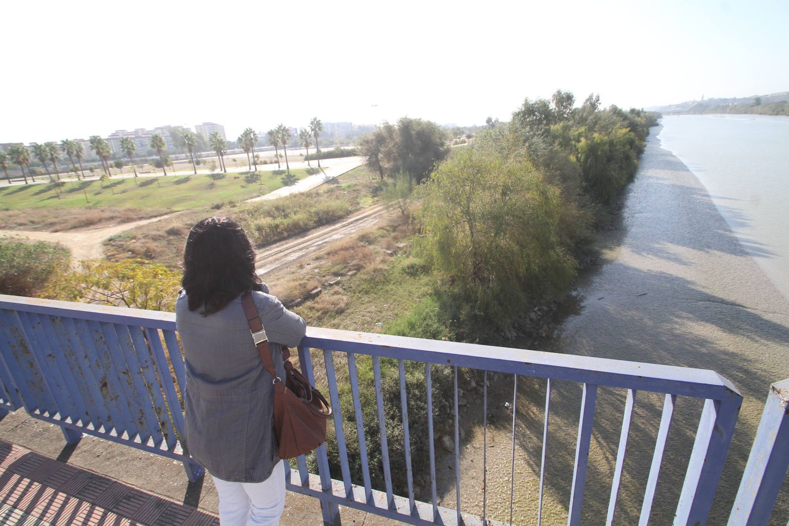 El parque Vega de Triana, uno de los espacios verdes de la ciudad que dan al río.