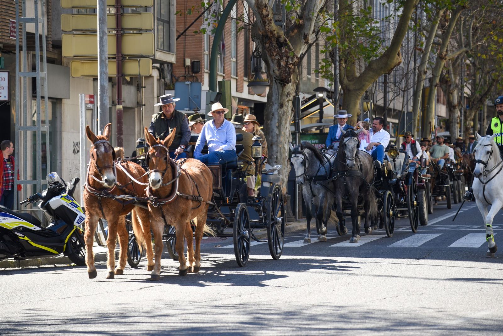 Las mejores imágenes de la Marcha Hípica Córdoba a Caballo del 28F de 2026