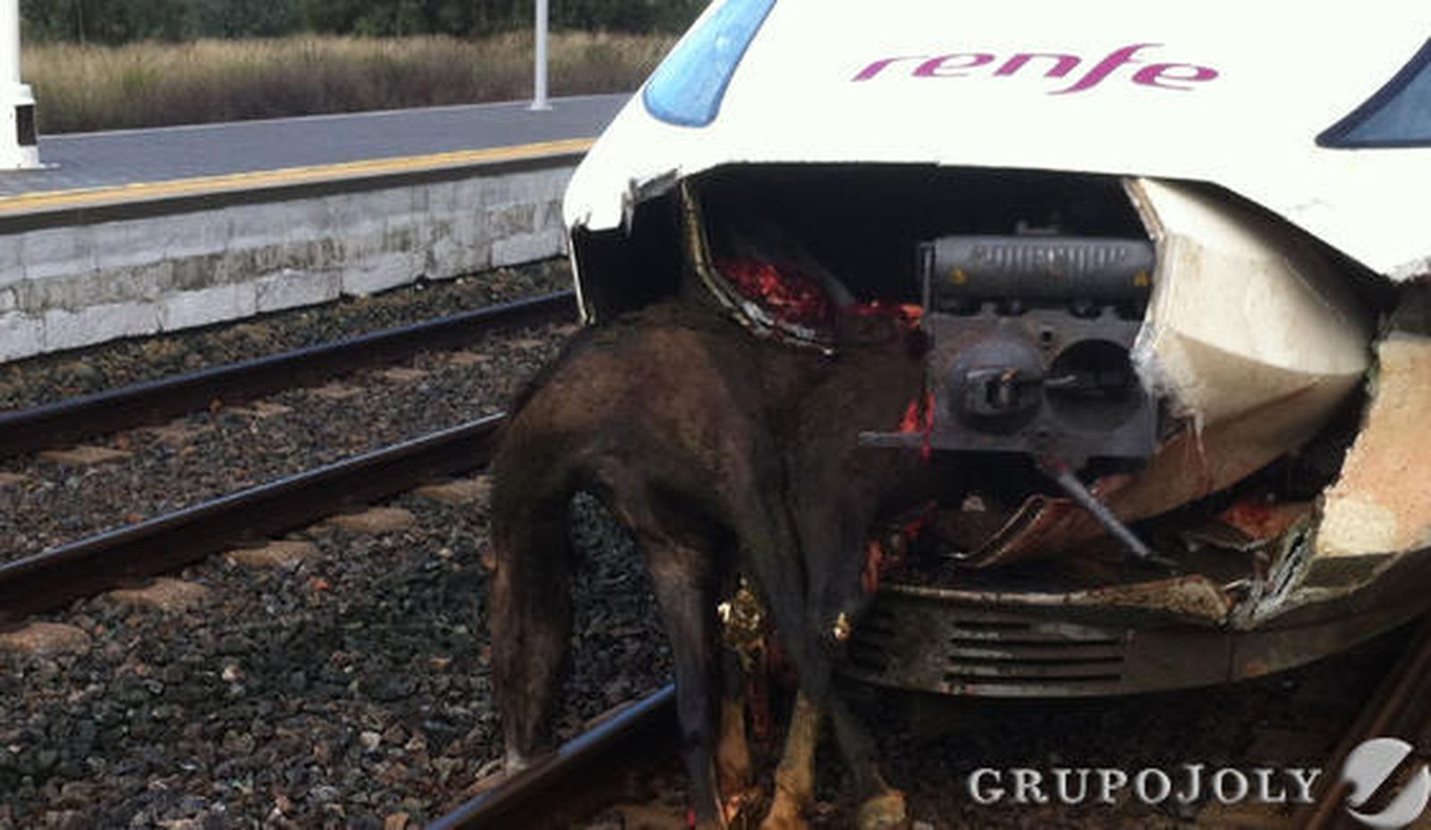 Evacuados 109 pasajeros de un tren tras arrollar a un caballo