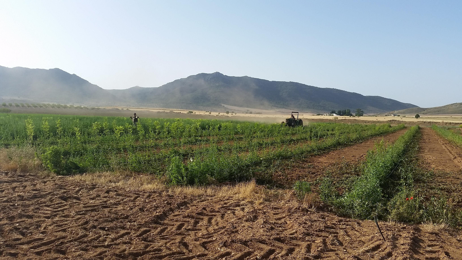 La Finca de Los Morales, propiedad de Diputación de Granada.