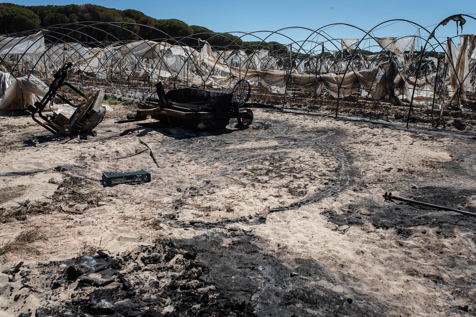El rastro del incendio de Almonte en imágenes