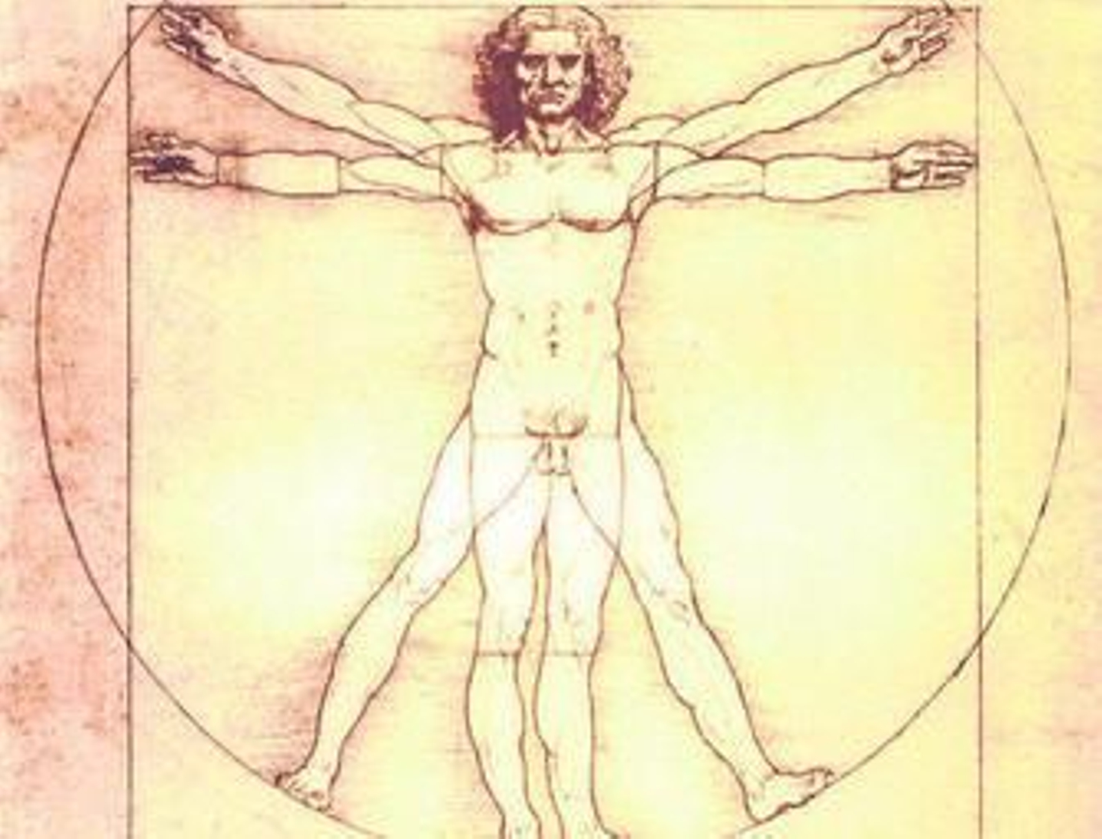 El famoso Hombre de Vitruvio de Leonardo da Vinci.