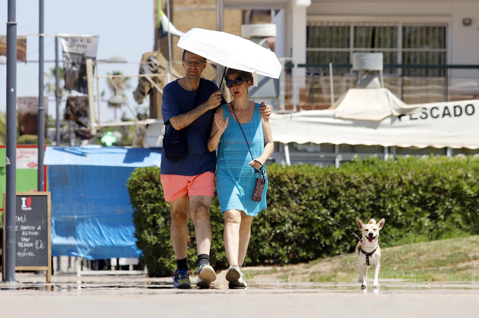 Imágenes de la playa de Matalascañas en un domingo caluroso