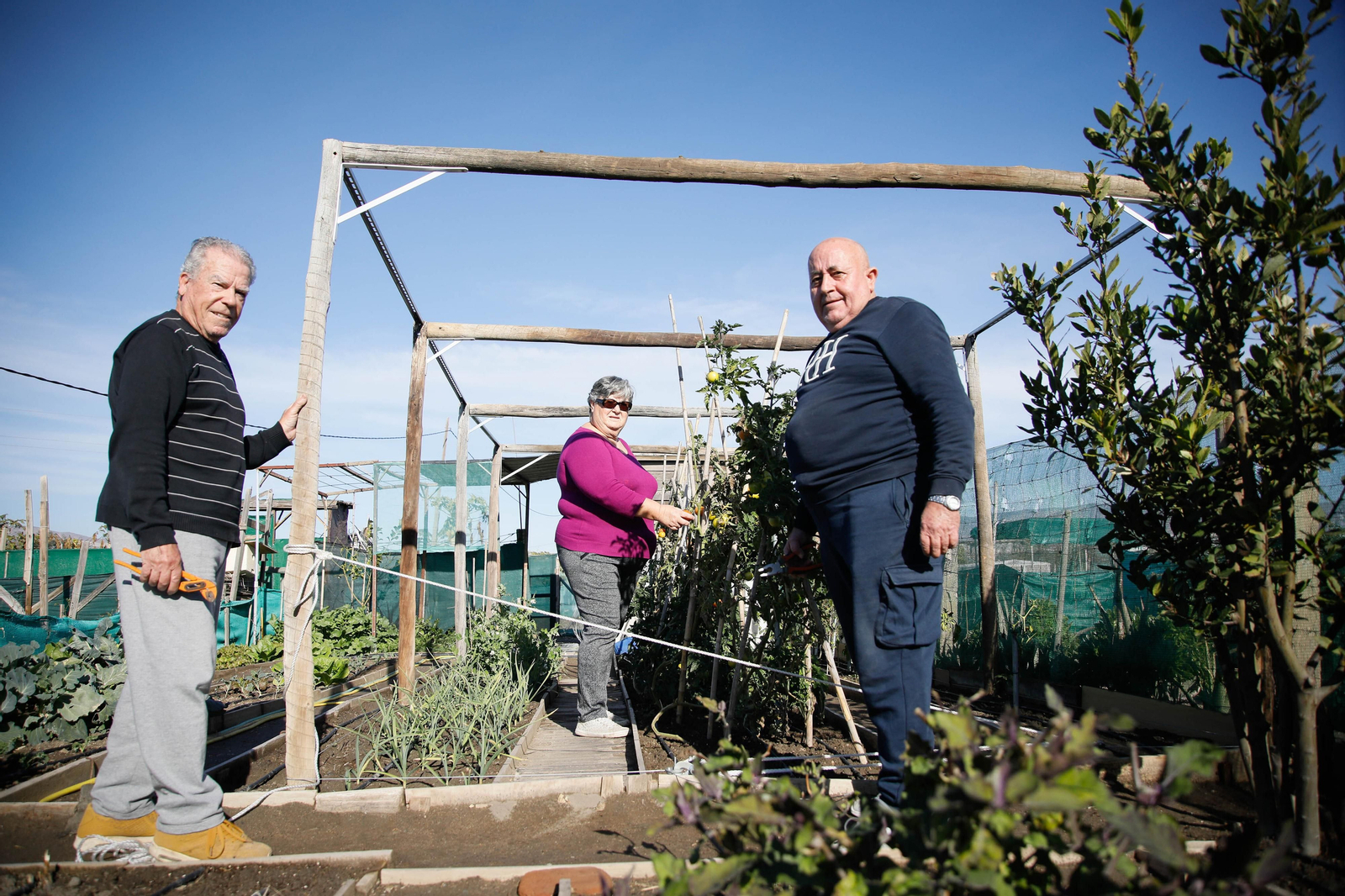 Los 'Yayos' disfrutan de sus ratos libres en el campo.