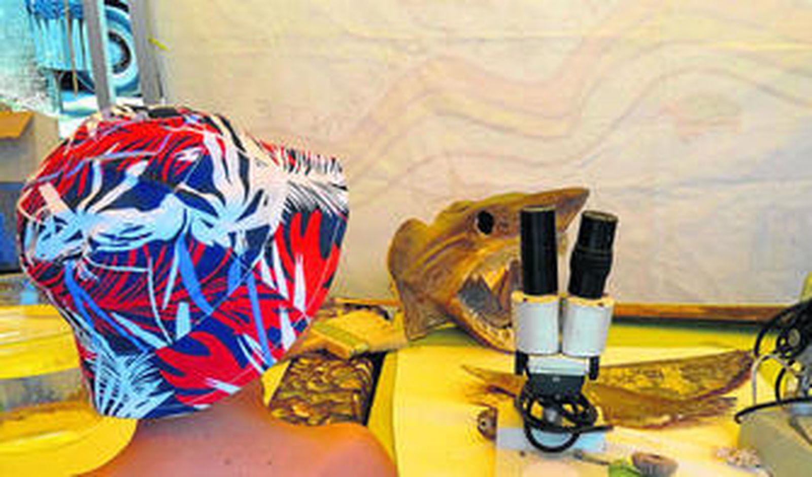 Un niño observa el microscopio del Laboratorio Marino Itinerante