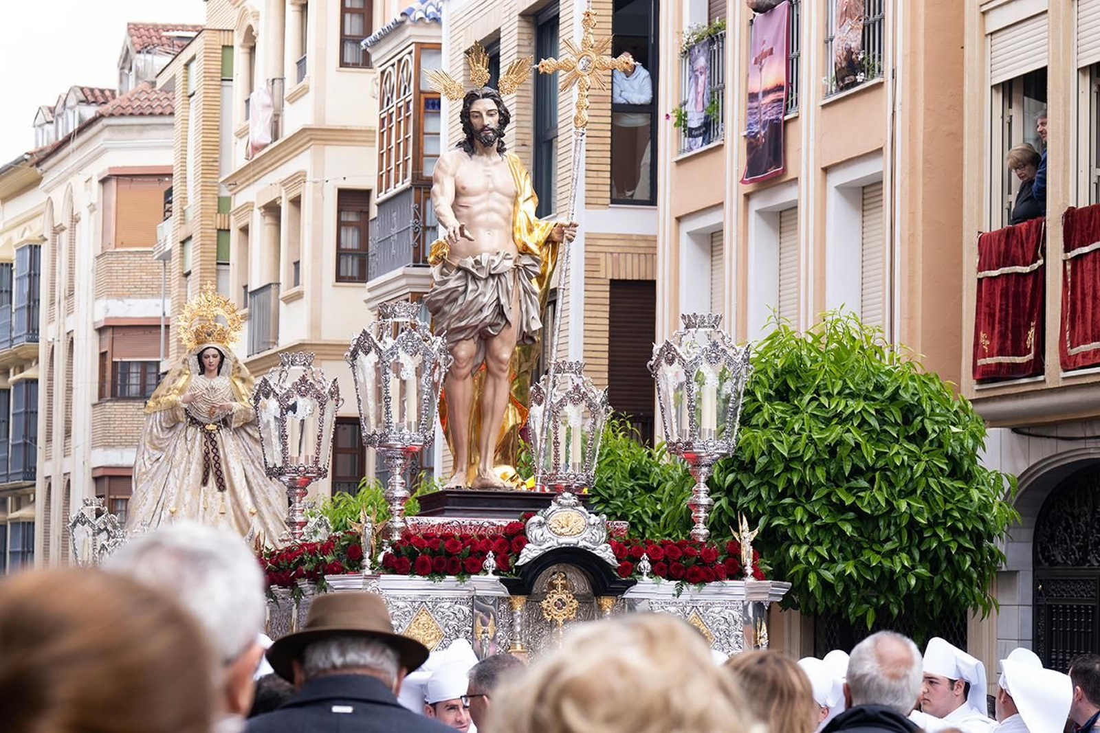 El Domingo de Ramos en Lucena, en imágenes