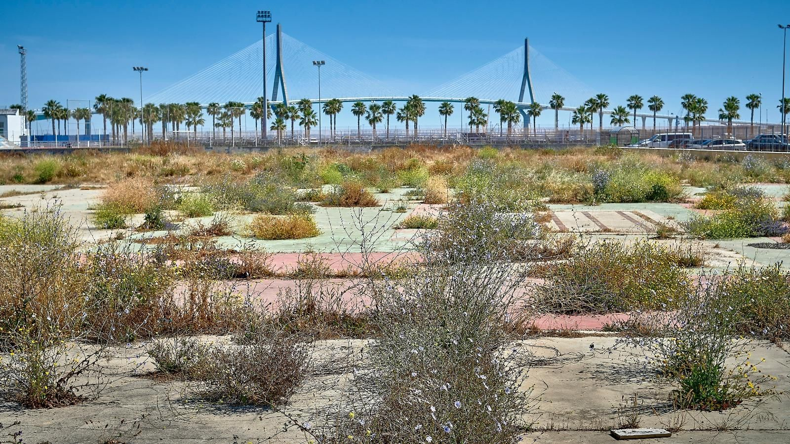 Solar previsto para el futuro Hospital Regional de Cádiz.