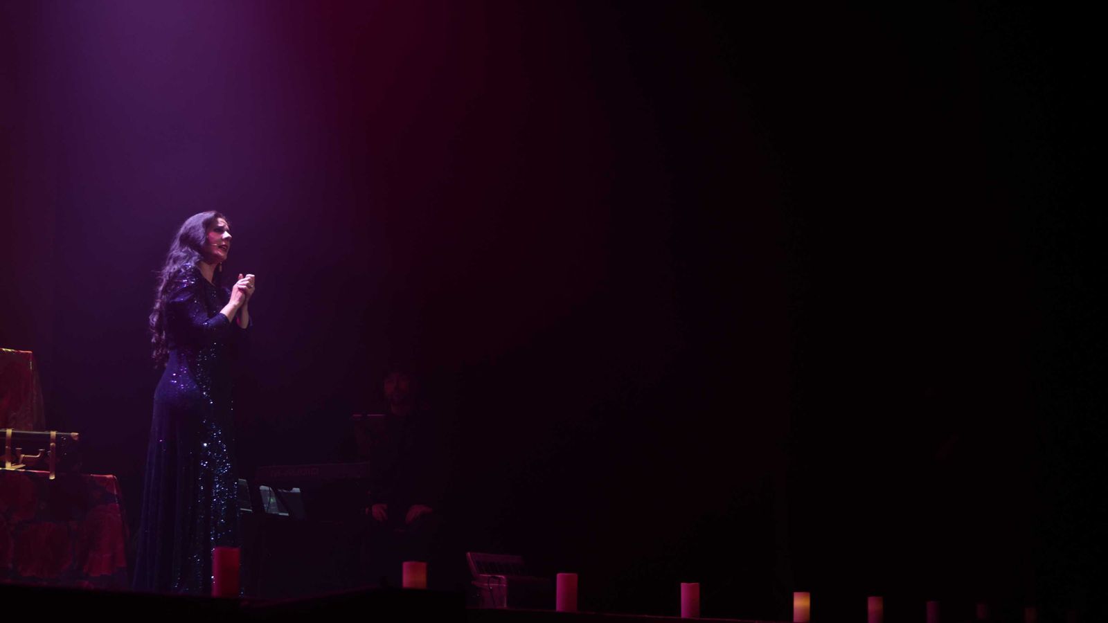 Las fotos del concierto de Diana Navarro