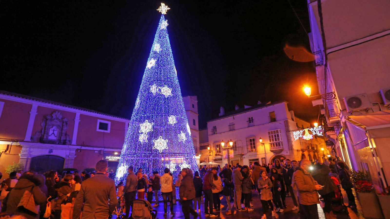 El árbol gigante se ha instalado este año en la plaza de la Herrería.