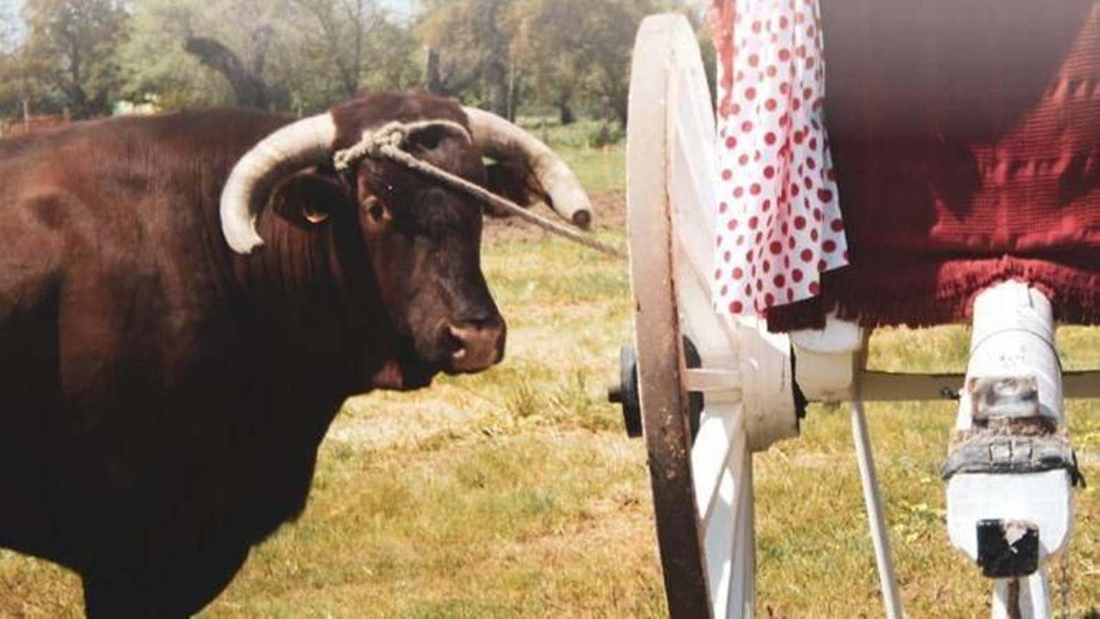 Imagen del cartel de la Feria de Turismo, Tradiciones, Gastronomía y Artesanía del Aljarafe y Doñana de Villamanrique.