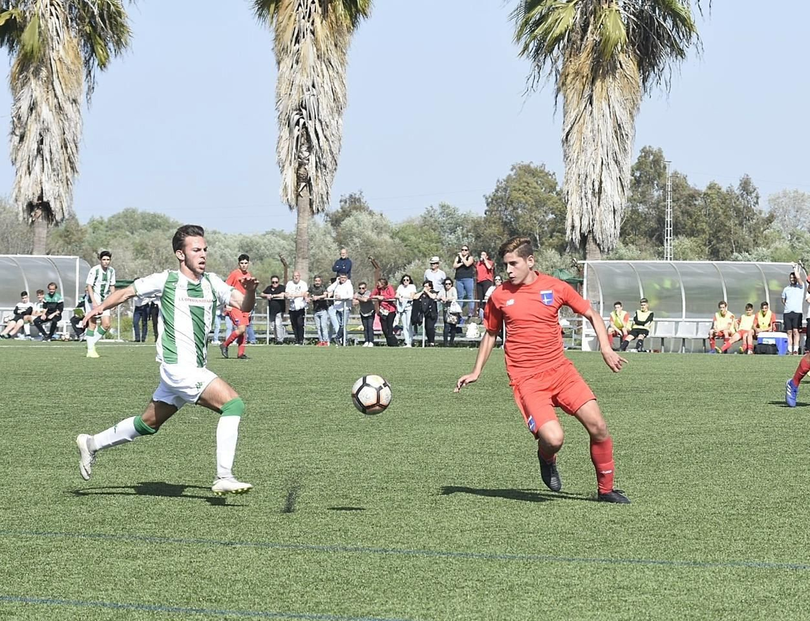 Un jugador del Córdoba trata de llegar al esférico antes que un contrario.