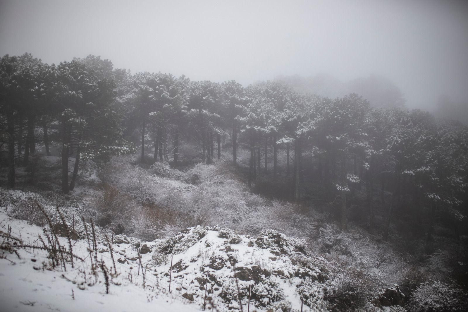 Nieve en el Puerto del Boyar.