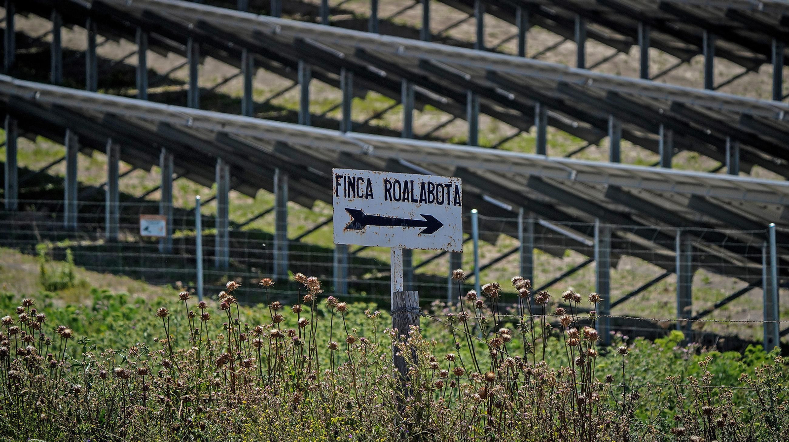 Plantas fotovoltaicas instaladas en las inmediaciones del paraje de Roalabota, al sur del término municipal.