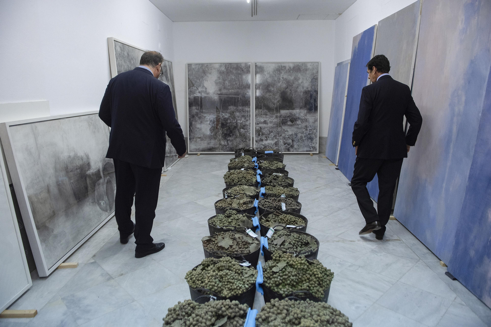 El CAAC incorpora a su colección ocho obras de la artista Carmen Laffón