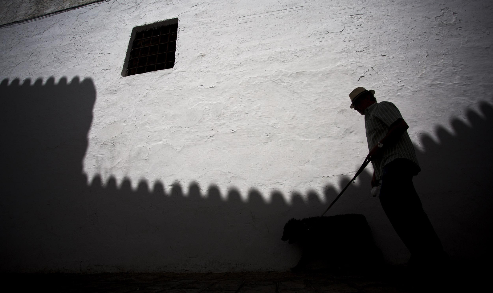 Carmona, en imágenes