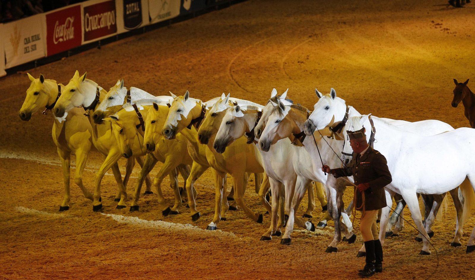 Inauguración de Sicab 2017