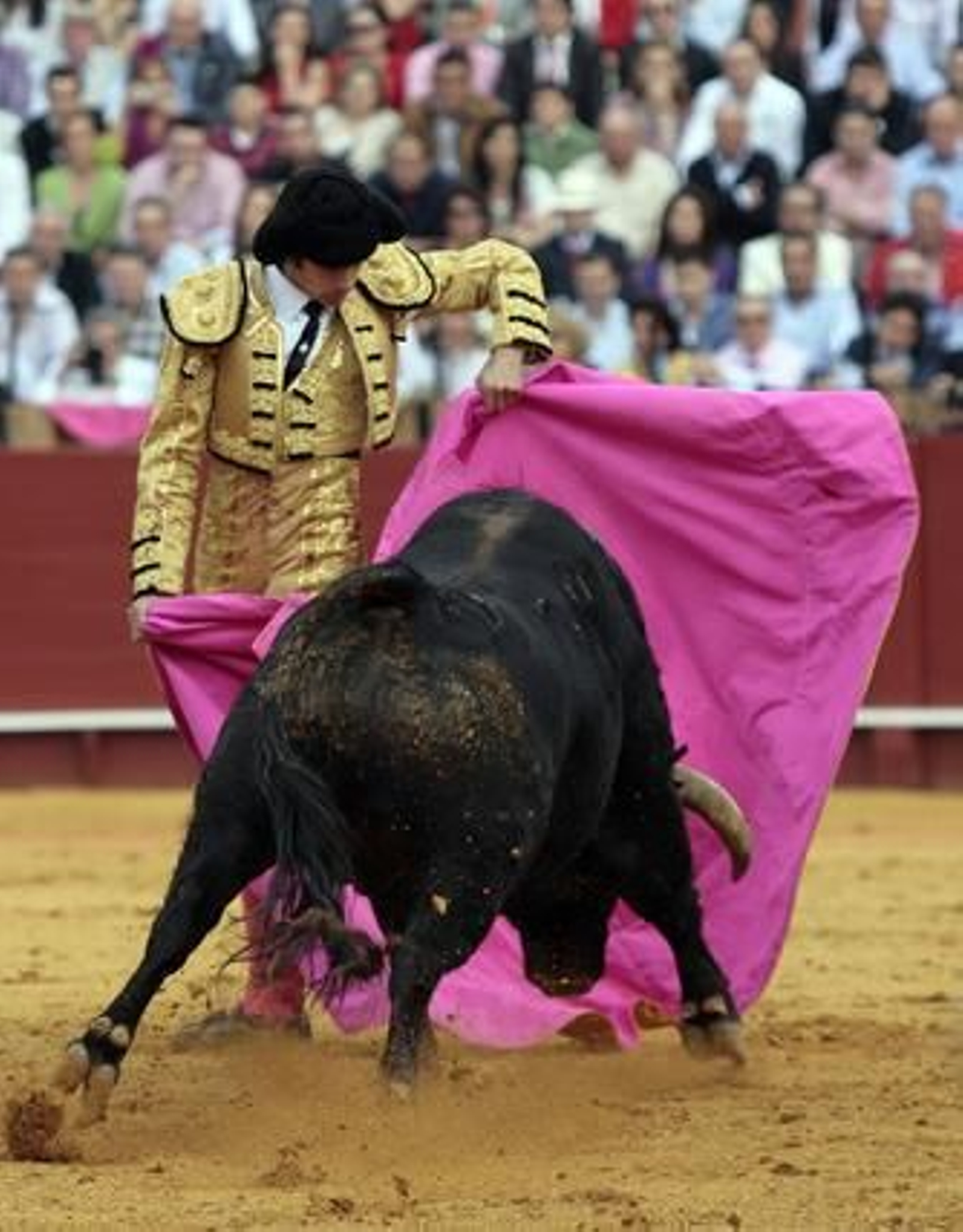 El francés Castella con el cuarto toro de la tarde.

Foto: Juan Carlos Muñoz
