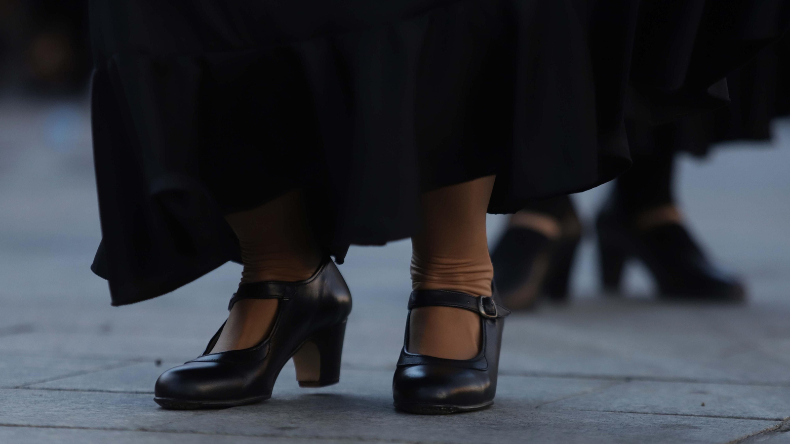 Fotos de la celebración del Día Internacional del Flamenco en Algeciras