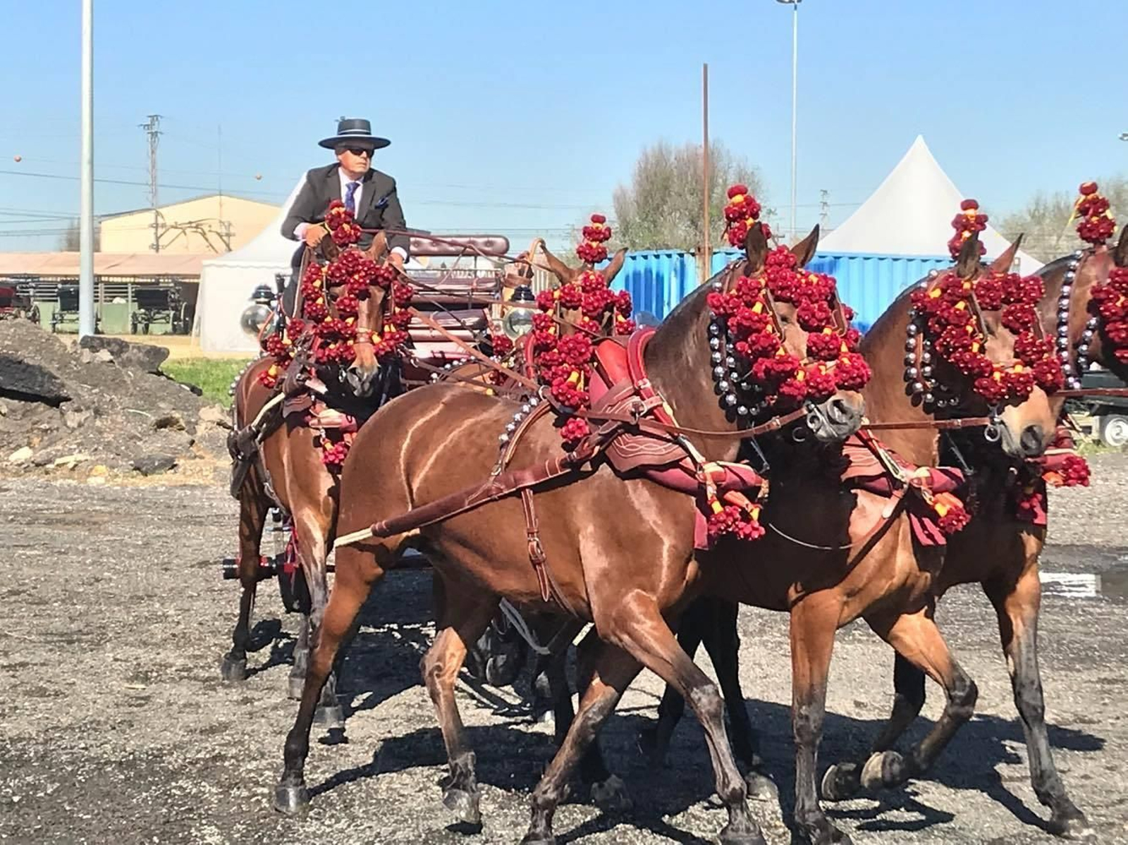Yeguada Alhamilla participa en el CIAT Ciudad de Sevilla