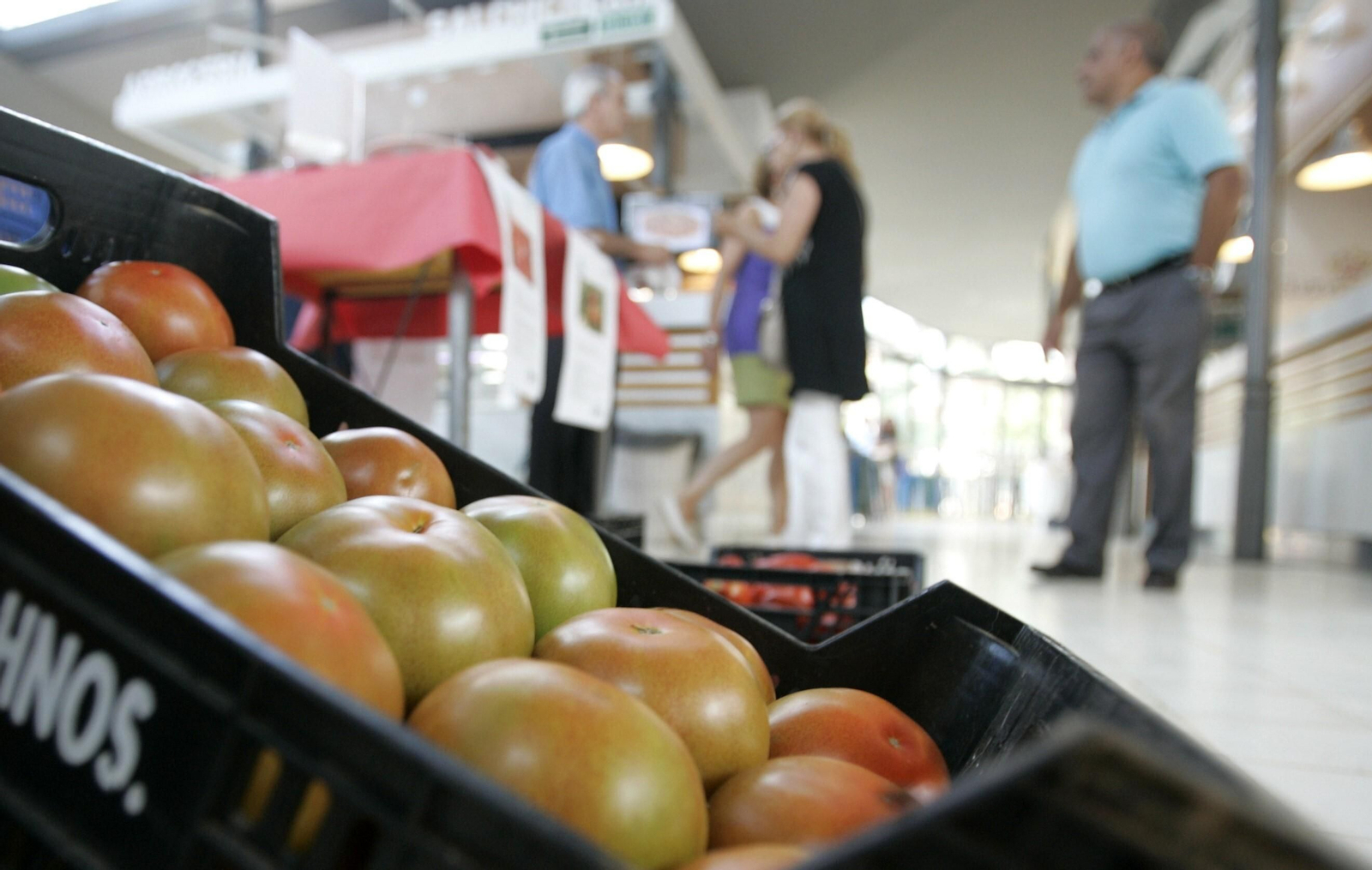 Los tomates son uno de los productos que comienzan a escasear en el Reino Unido.