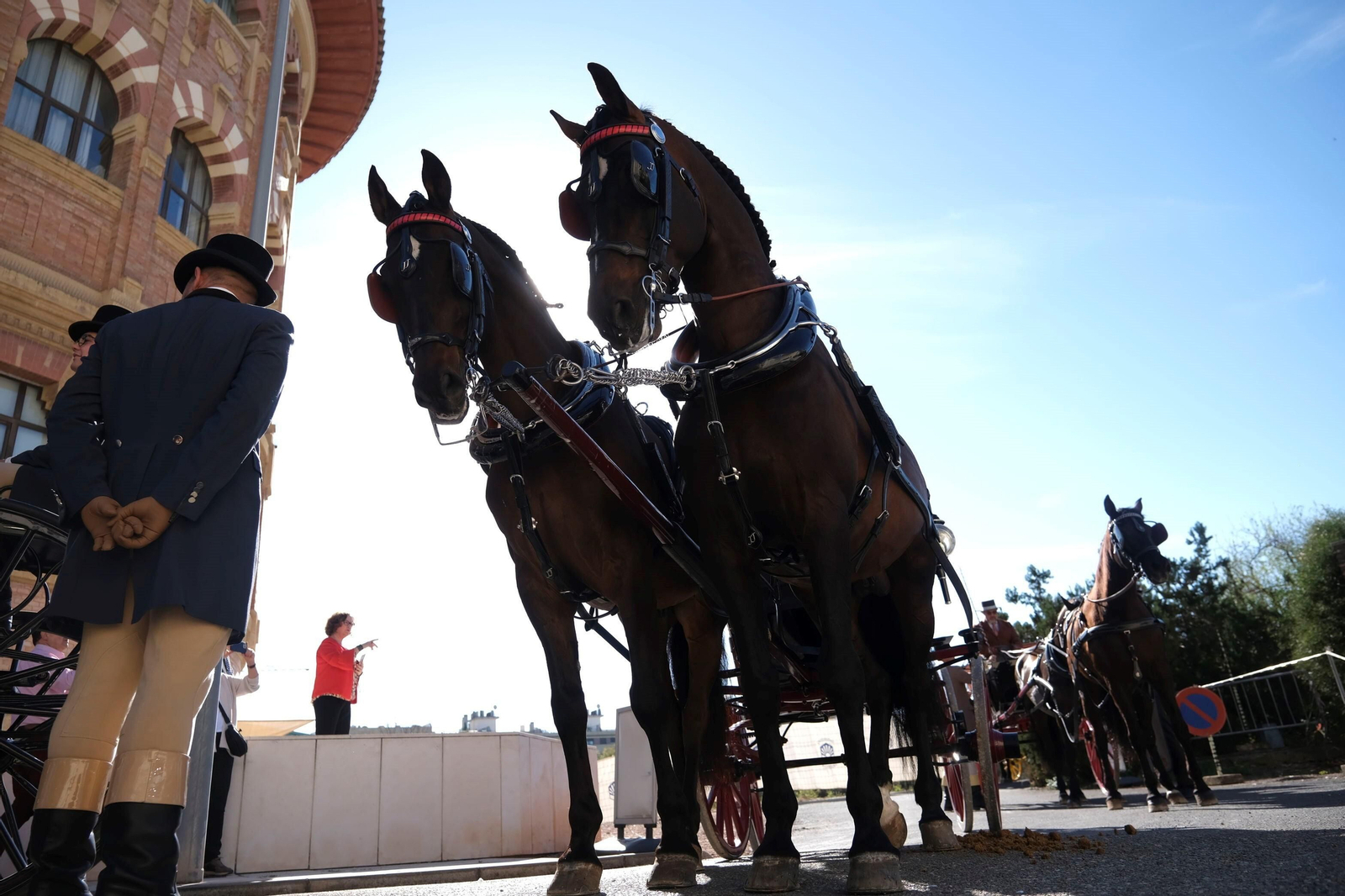 El desfile ecuestre con motivo de los 175 años de la Facultad de Veterinaria de Córdoba, en imágenes