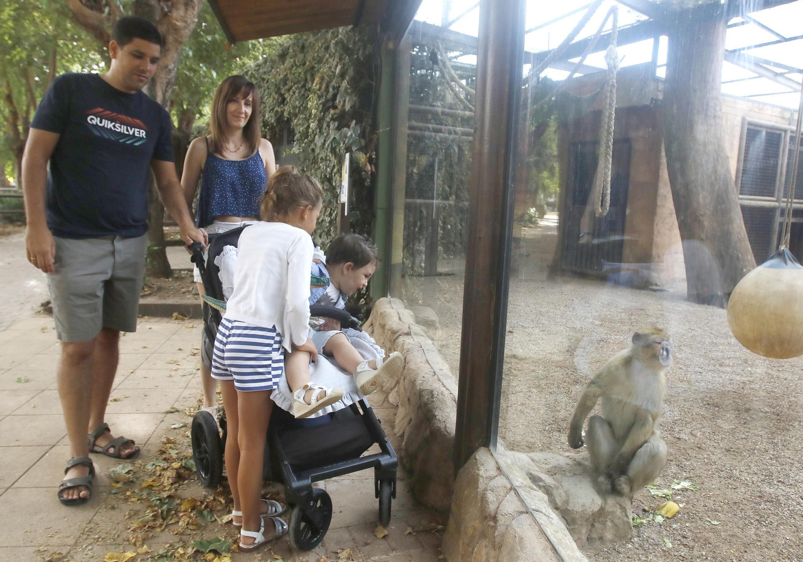Las imágenes de la reapertura del zoo de Córdoba