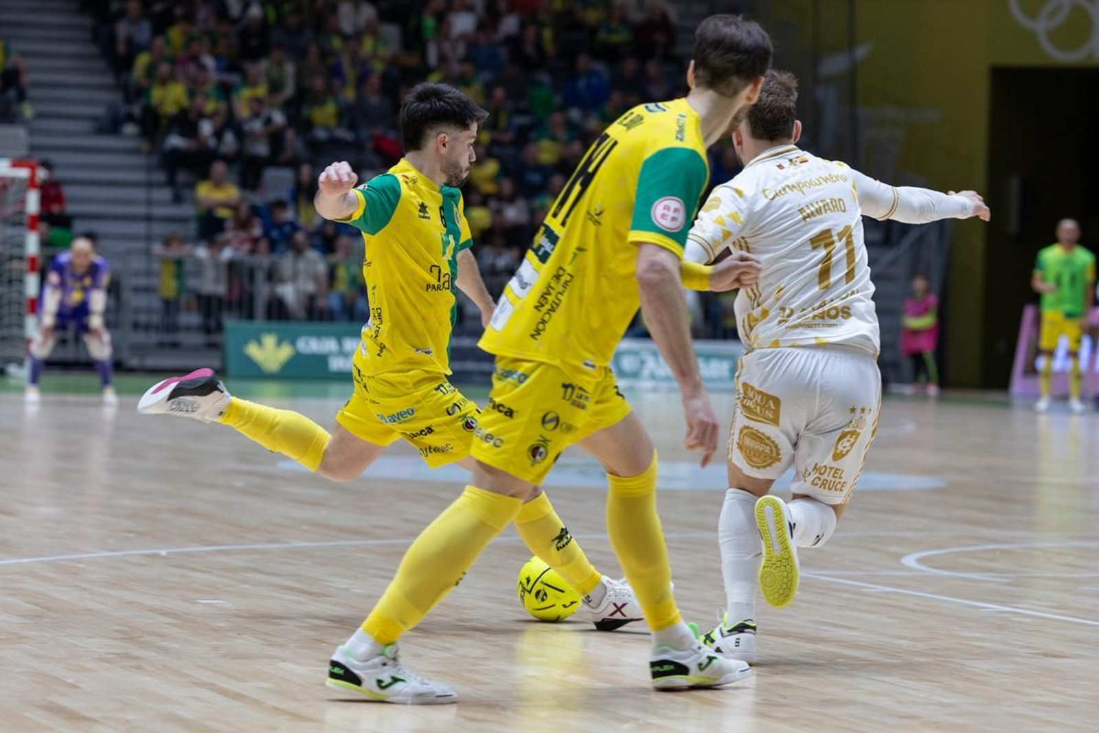 Las mejores imágenes del Jaén Paraíso Interior FS - Quesos El Hidalgo Manzanares