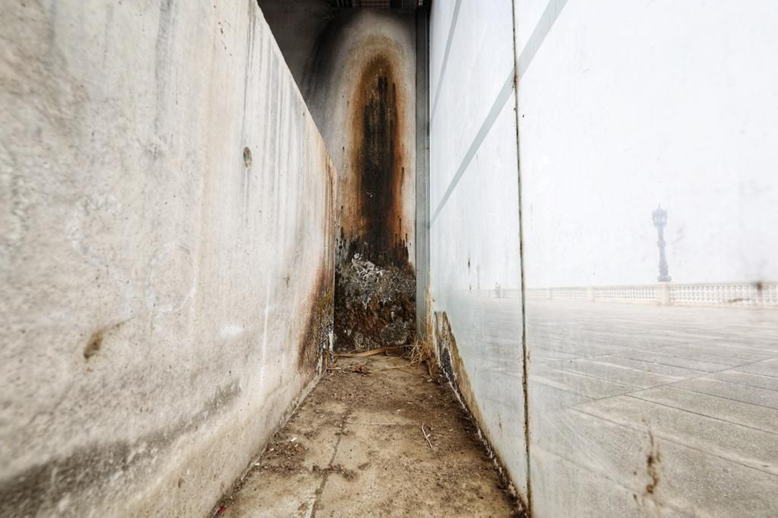 Imágenes del abandono de la pérgola del parque Genovés de Cádiz
