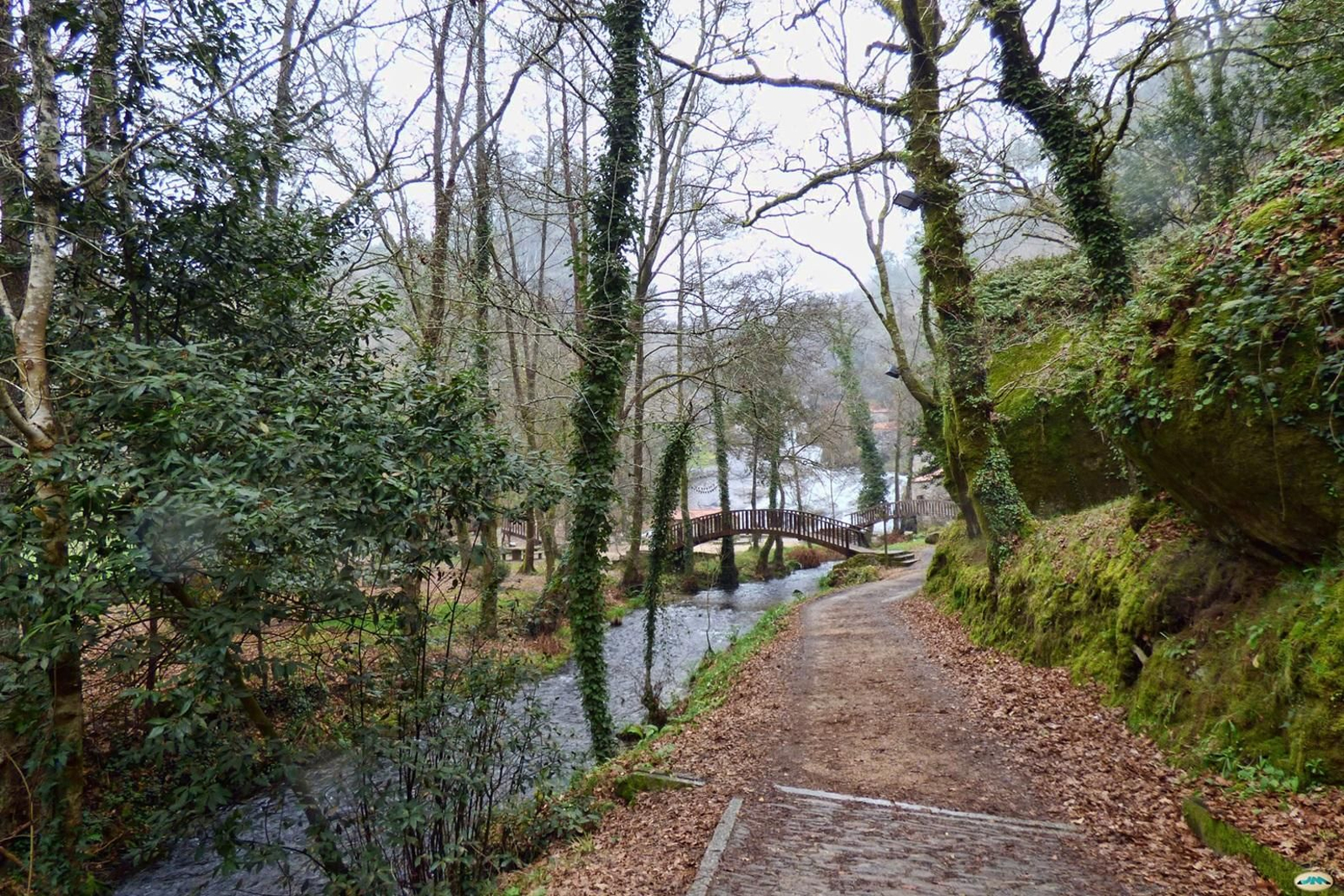 El nacimiento del río Borosa en imágenes: un espectáculo acuático recomendado por National Geographic