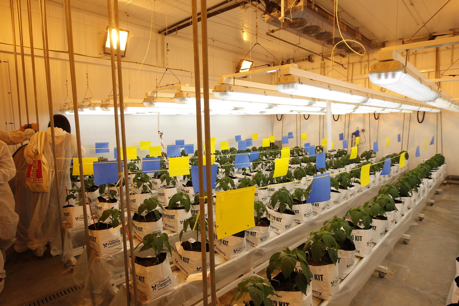 Fotogalería presentación resultados Bayer