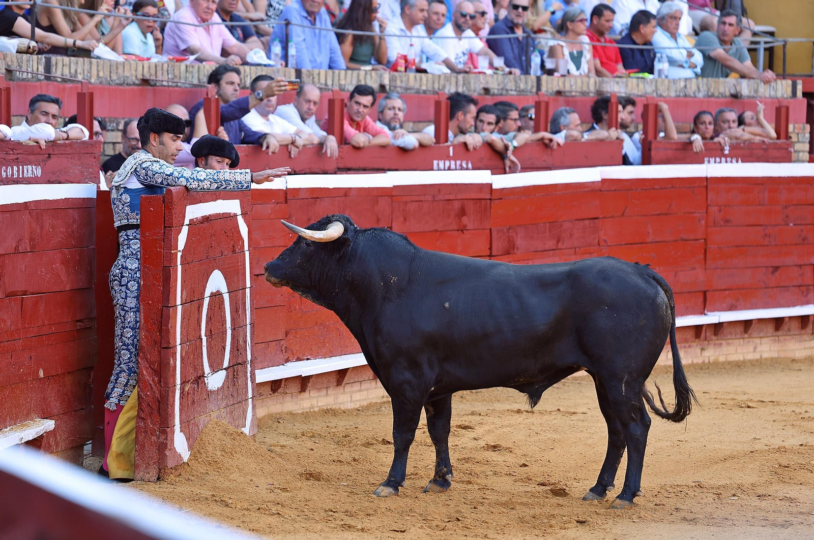 Toros La Merced 2025: Imágenes de la Novillada de Javier Zulueta, Cristian González y Carlos Tirado