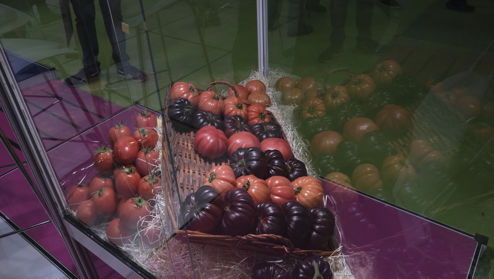 Imágenes de la Expolevante del jueves. Campohermoso-Níjar