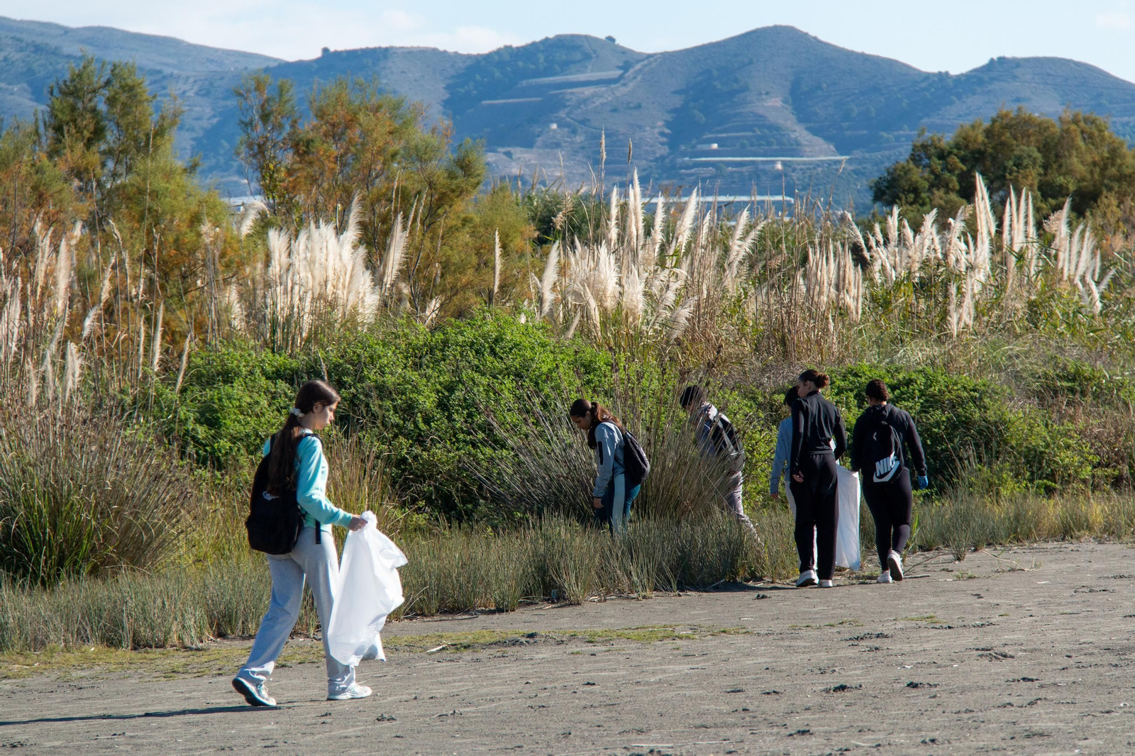 Parte del alumnado del IES Francisco Javier de Burgos durante la limpieza en la Playa de las Azucenas