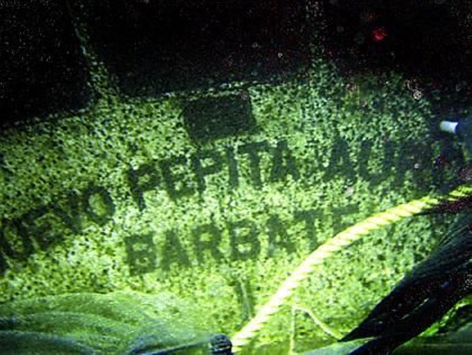 El pesquero 'Nuevo Pepita Aurora' tras su hundimiento.